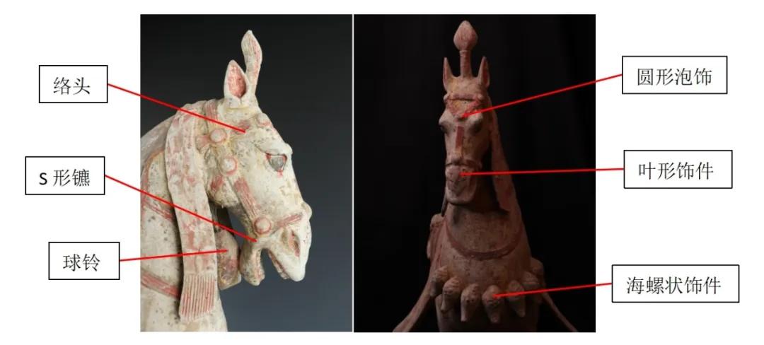 一匹彩绘陶马,带你解锁古代“骑士装备库” - 广东大观博物馆