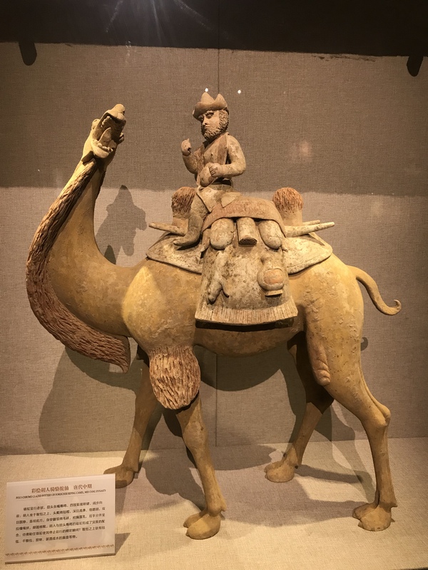 彩绘胡人骑骆驼俑.jpg